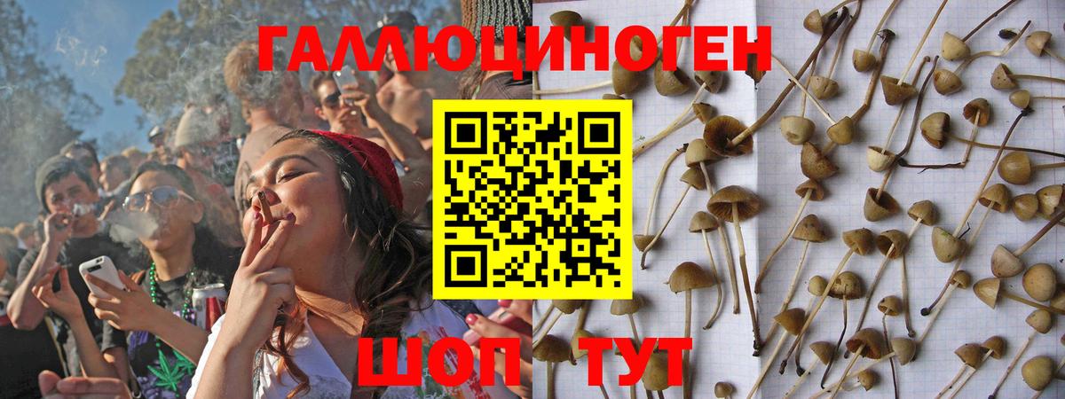 Можга  Псилоцибиновые грибы прущие грибы  Вход с VPN 