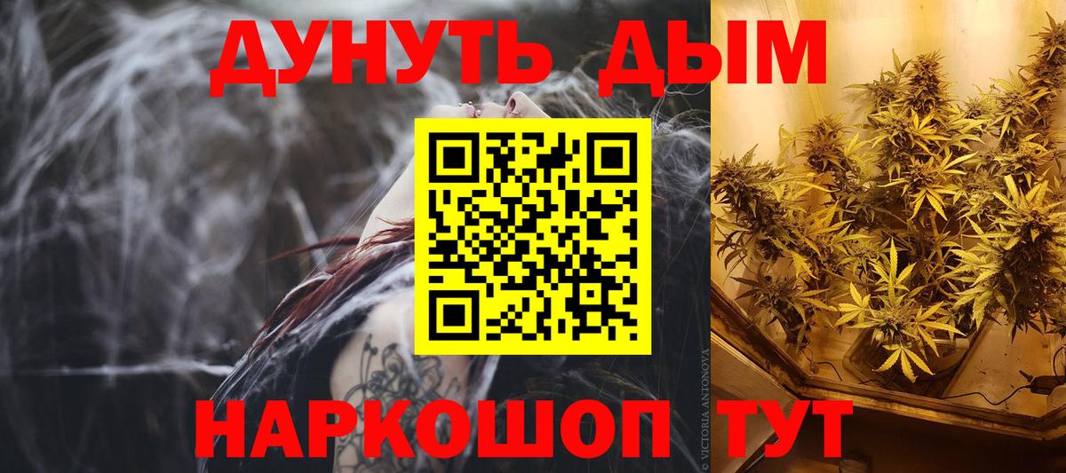 Бошки Шишки гибрид Можга